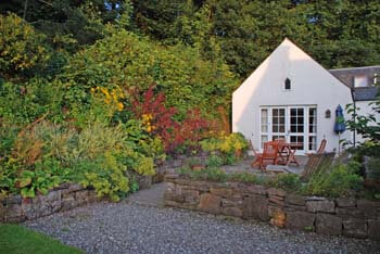 back garden