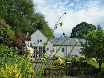 back garden