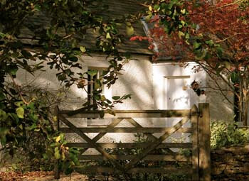 front garden